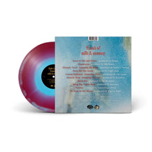 Load image into Gallery viewer, Land of Silk & Money (LP)