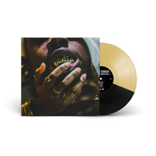 Load image into Gallery viewer, Aesthetic Raps Vol. 1 (LP)