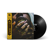 Load image into Gallery viewer, Aesthetic Raps Vol. 1 (LP)