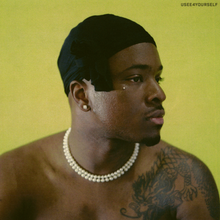 Load image into Gallery viewer, USEE4YOURSELF (LP)