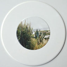 Load image into Gallery viewer, Immaculate (7")
