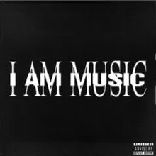 Load image into Gallery viewer, MUSIC (Black Vinyl Edition)
