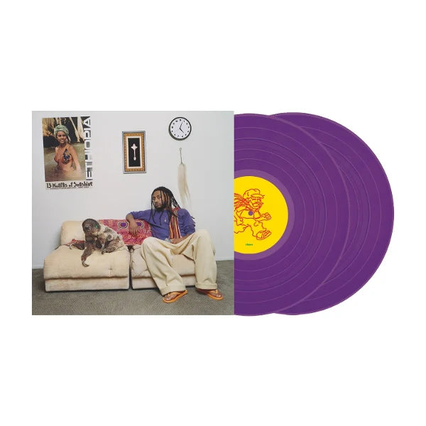 13 Months of Sunshine Vinyl (Zoetrope Picture Disc) – Amine