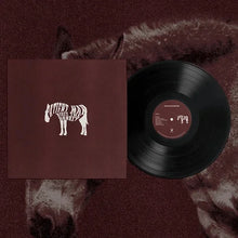 Load image into Gallery viewer, Patient Man Rides The Donkey (LP)
