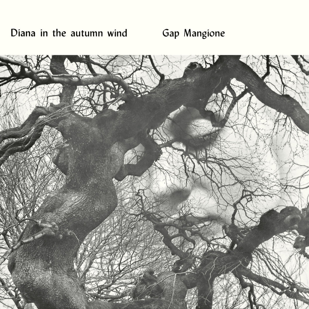 Diana in The Autumn Wind (LP) – RRC MUSIC CO.