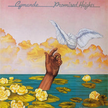 Load image into Gallery viewer, Promised Heights (LP)
