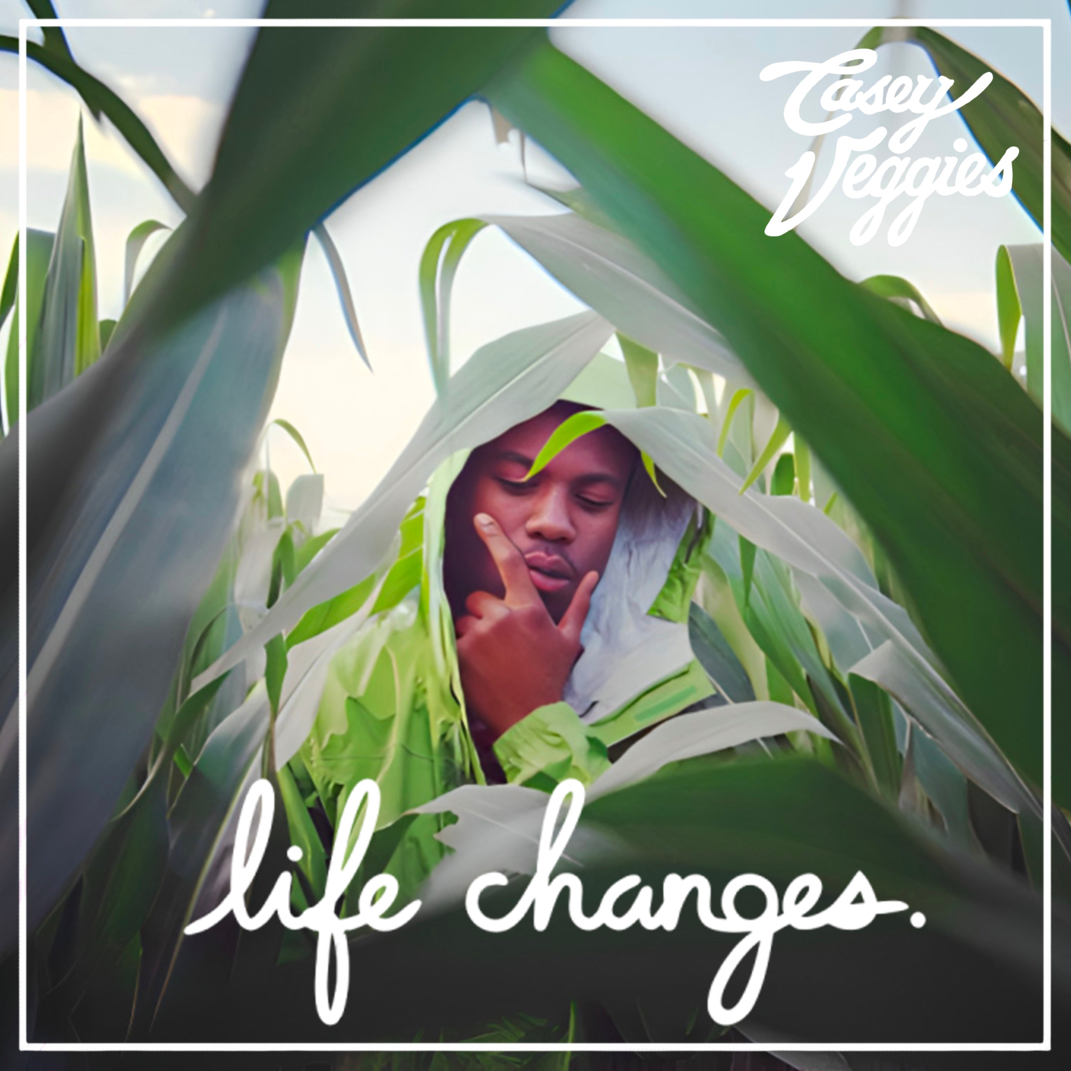 Life Changes (2LP) – RRC MUSIC CO.