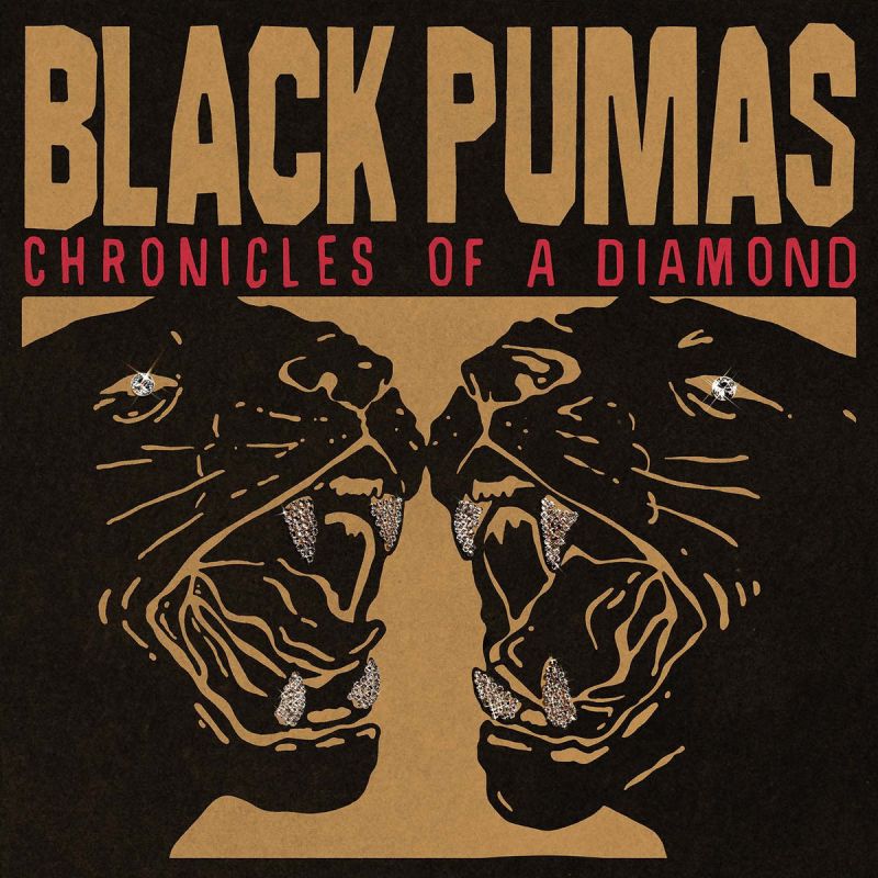 Chronicles of A Diamond (LP)