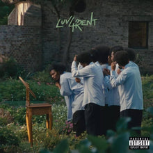 Load image into Gallery viewer, Luv 4 Rent (2LP)
