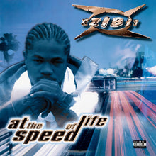 Load image into Gallery viewer, At the Speed of Life (2LP)
