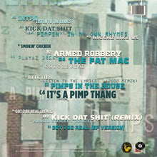 Load image into Gallery viewer, Lyrics Of A Pimp (2LP)

