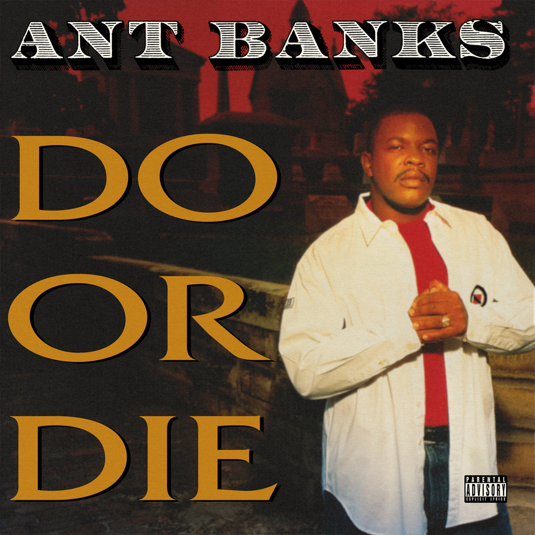Do Or Die (2LP)