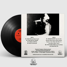 Load image into Gallery viewer, Lyrical Lion (LP)
