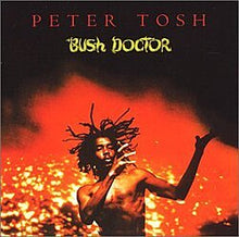 Load image into Gallery viewer, Bush Doctor (LP)
