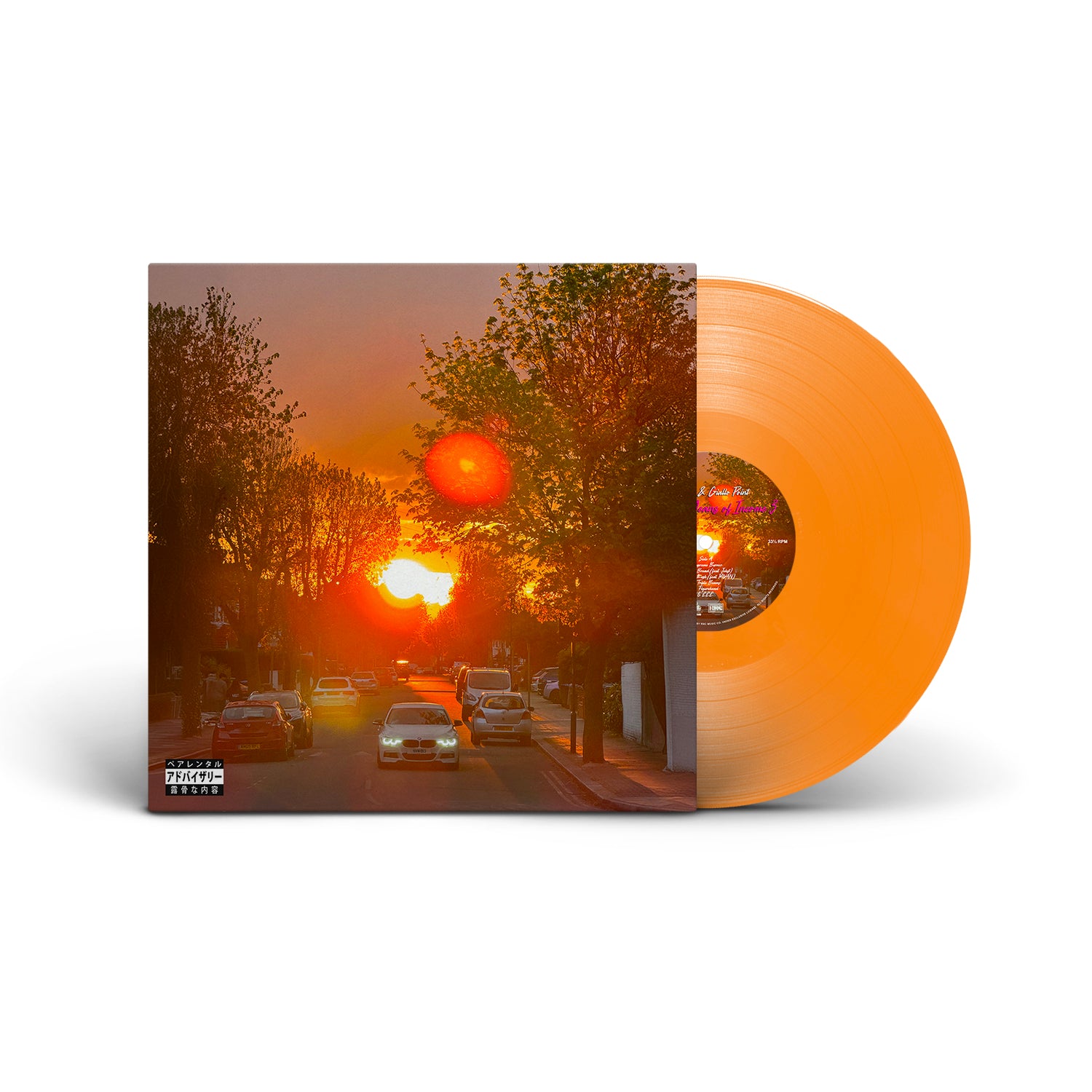 No Vi$ible Means of Income 3 (LP) – RRC MUSIC CO.