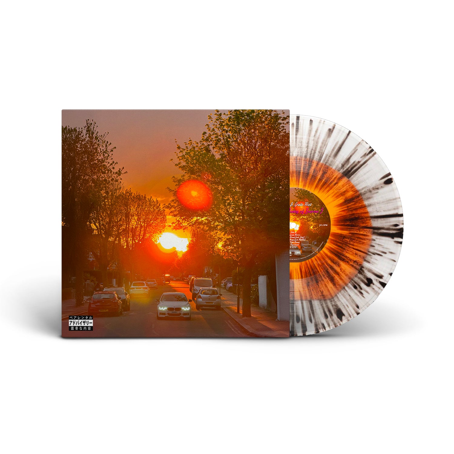 No Vi$ible Means of Income 3 (LP) – RRC MUSIC CO.
