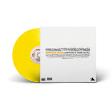 Load image into Gallery viewer, Everything Is Under Control. (LP)
