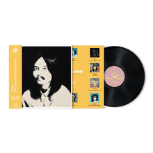 Load image into Gallery viewer, Hosono House Revisited (LP)
