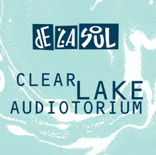 Load image into Gallery viewer, Clear Lake Audiotorium (LP)
