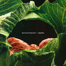 Load image into Gallery viewer, Appetites (LP)
