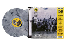Load image into Gallery viewer, The Pillage - 25th Anniversary (2LP)
