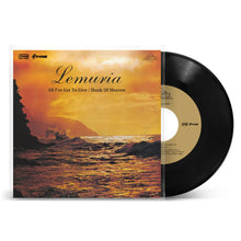 Load image into Gallery viewer, All I've Got To Give／Hunk Of Heaven (7")
