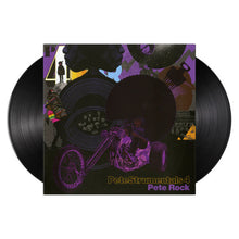 Load image into Gallery viewer, PeteStrumentals 4 (2LP)
