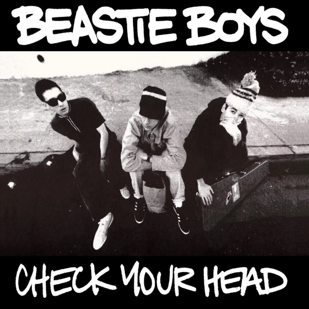 Check Your Head (2LP)